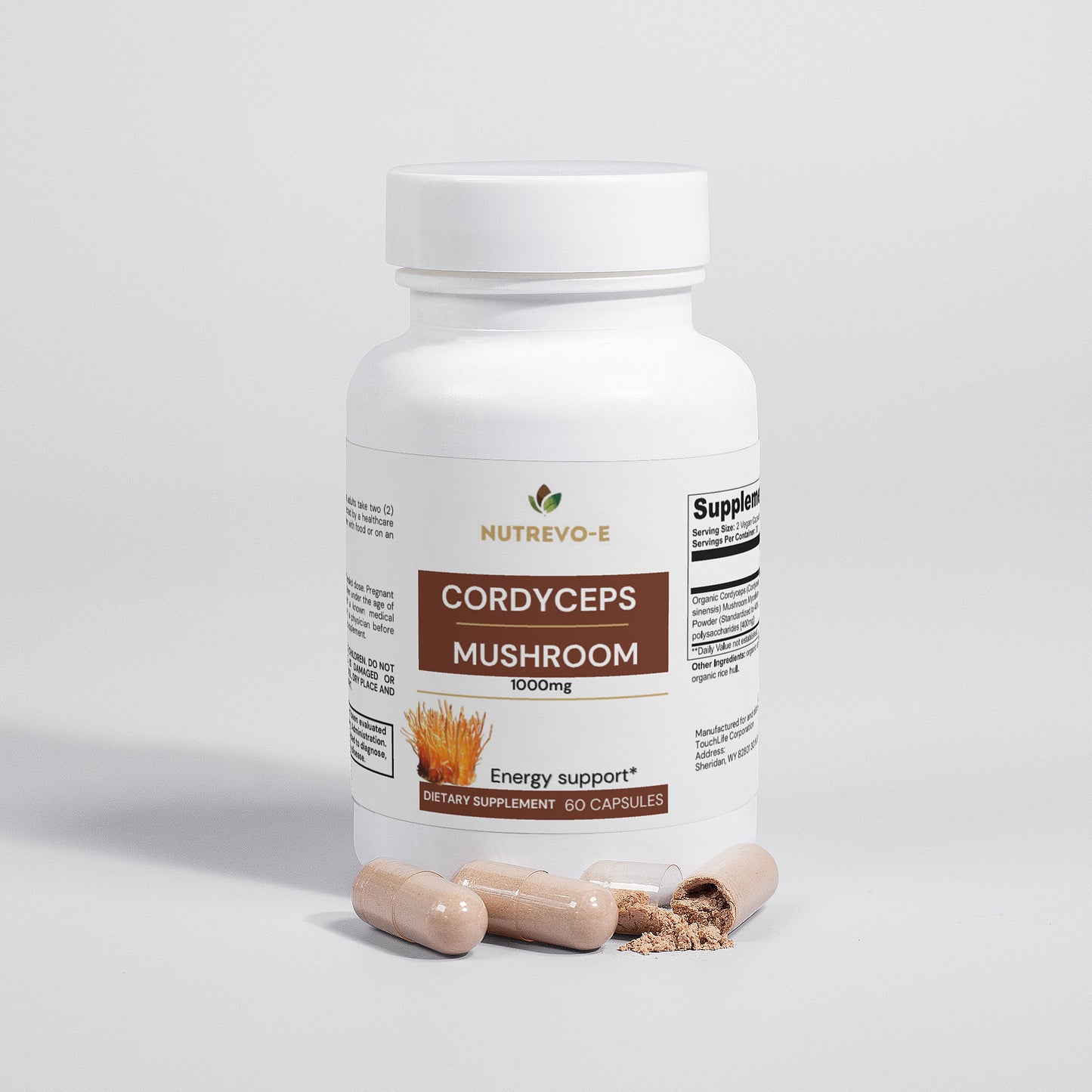 CORDYCEPS MUSHROOM