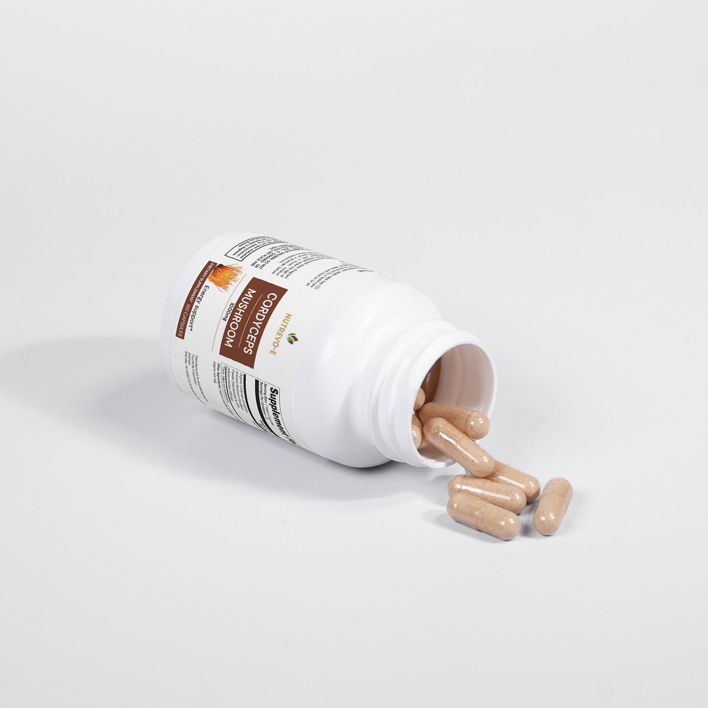 CORDYCEPS MUSHROOM