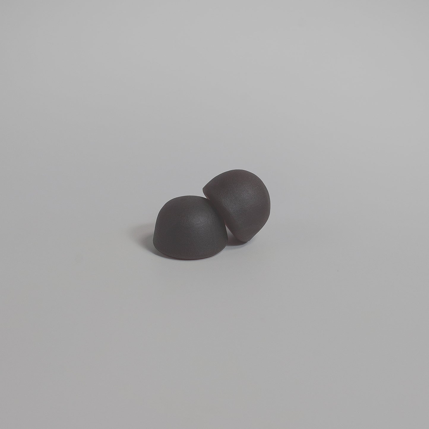 MUSHROOM EXTRACT COMPLEX