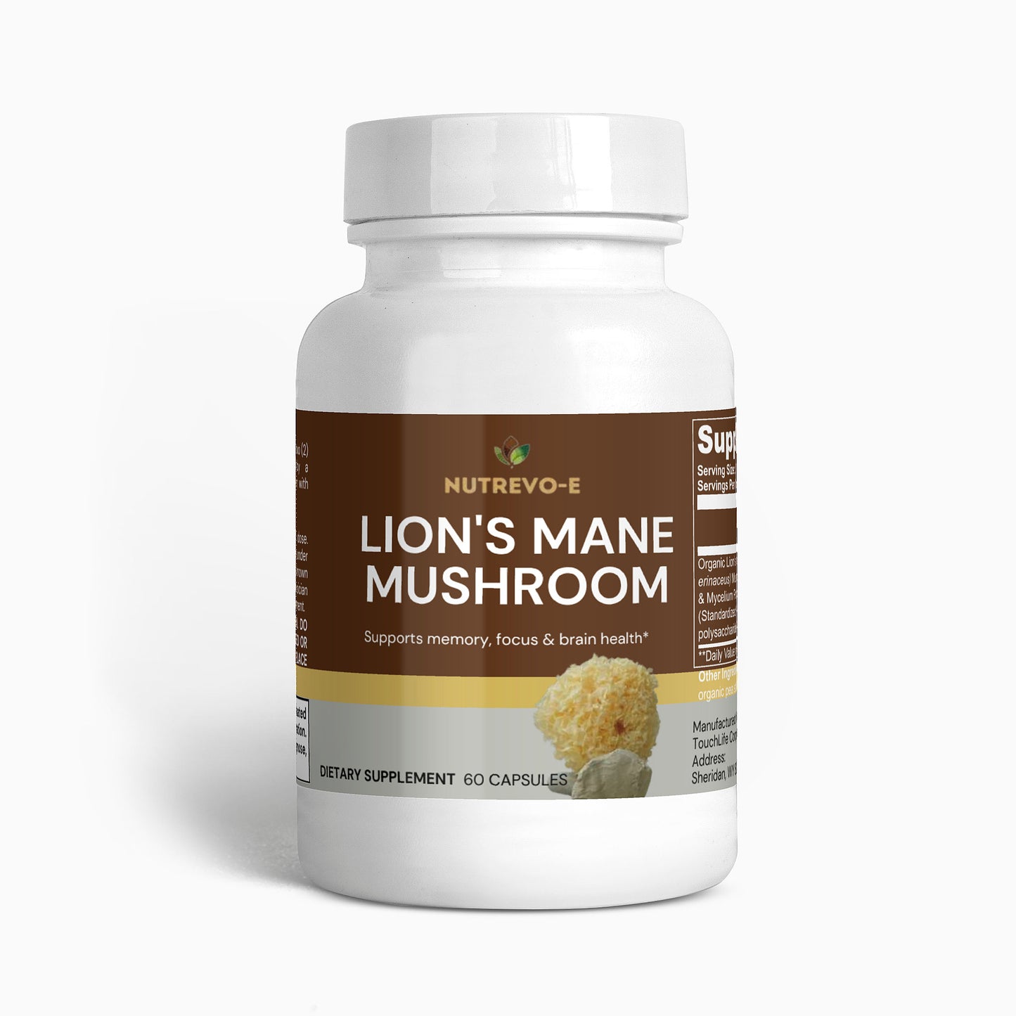 LION'S MANE MUSHROOM