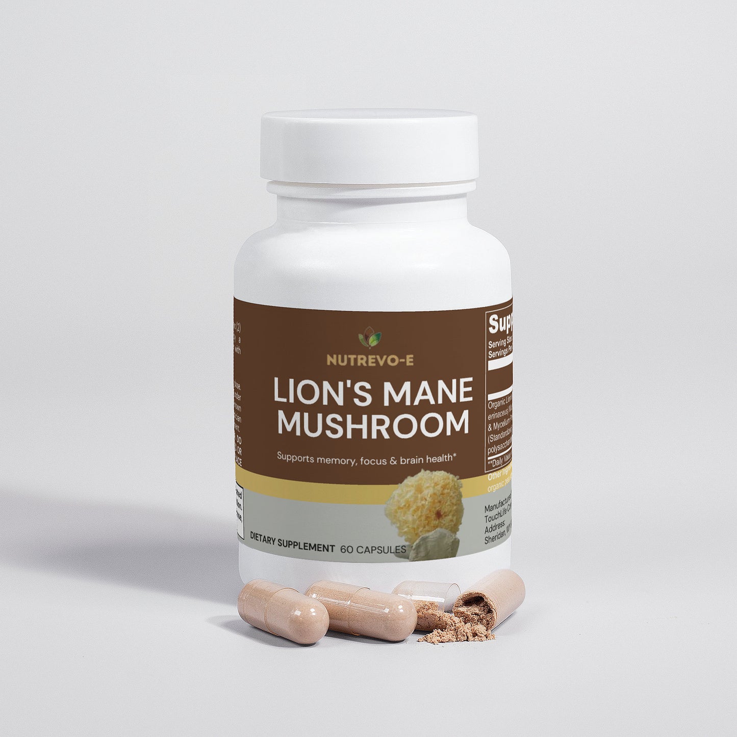 LION'S MANE MUSHROOM