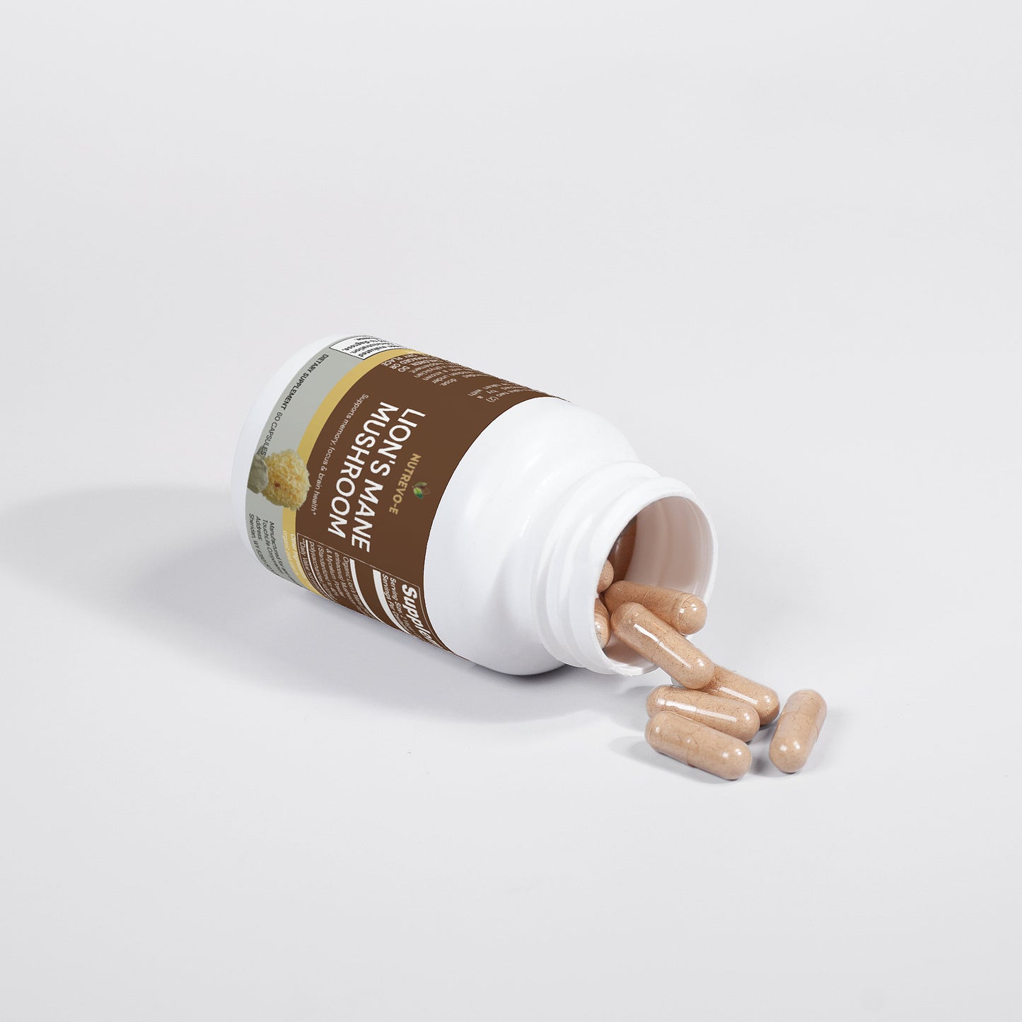 LION'S MANE MUSHROOM